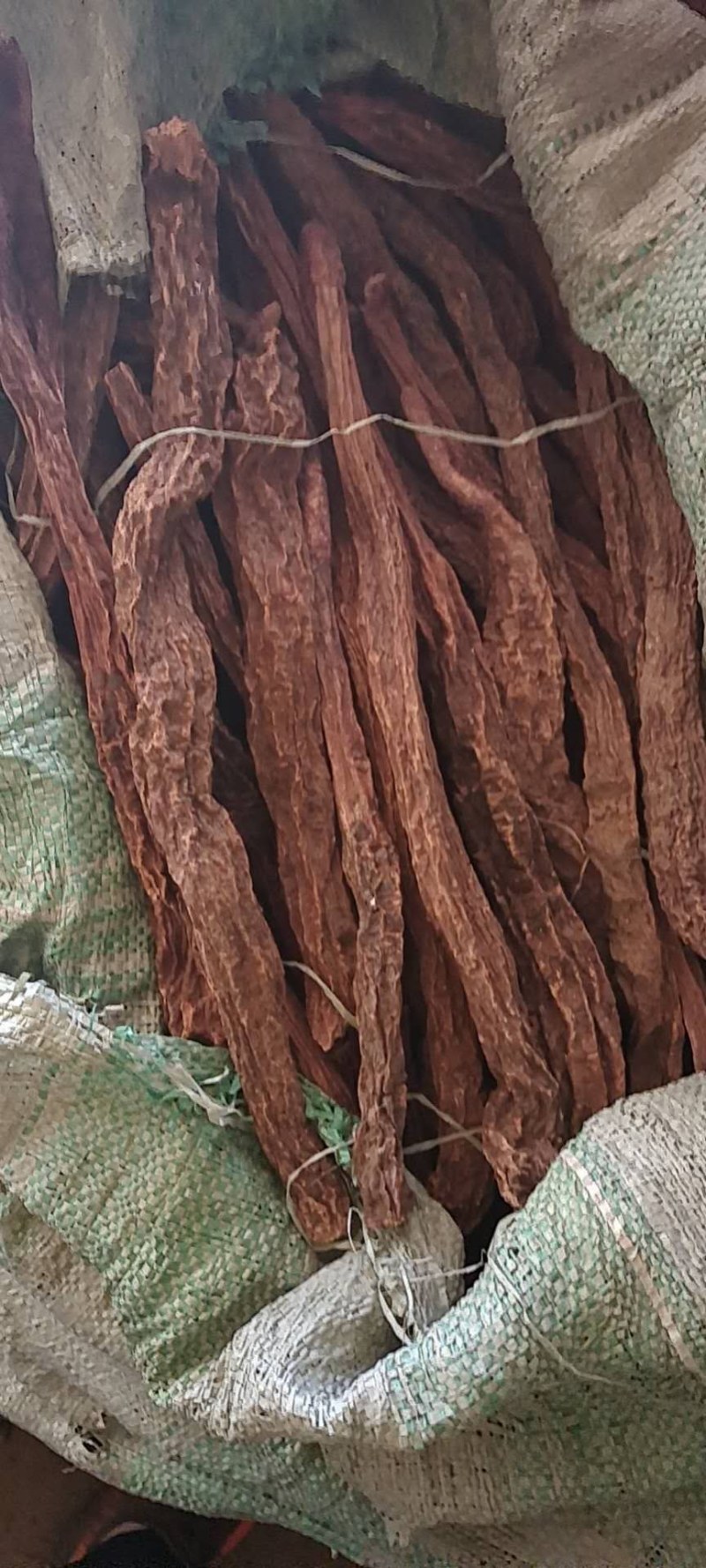 锁阳，构杞，地骨皮大量长年有货