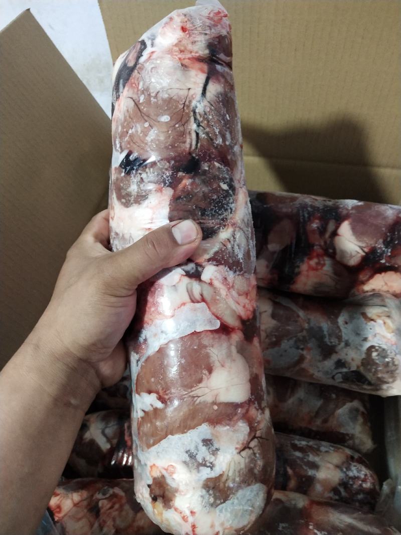 内蒙古锡林郭勒草地羔羊羊心，现宰羔羊心，大量现货。