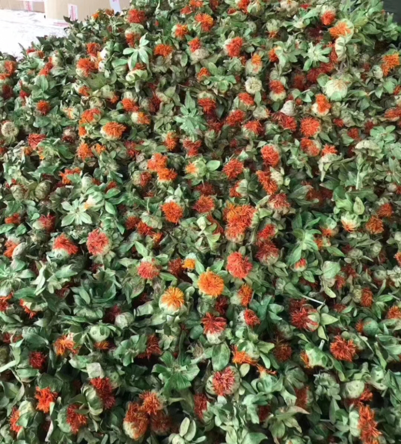 云南藏红花果，新货，颜色好，花红叶绿，质量保证