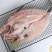 北海开背湄公鱼巴沙鱼肉新鲜速冻龙利鱼海鱼烤鱼