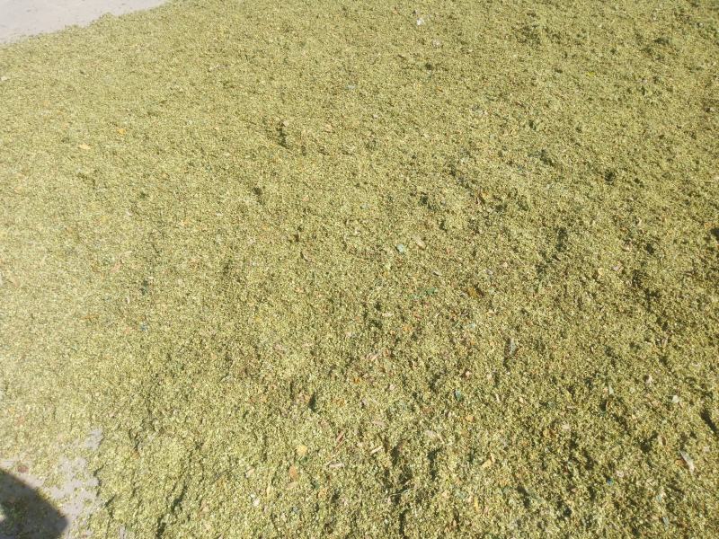 槐花现货出售50，有需要的连系我！