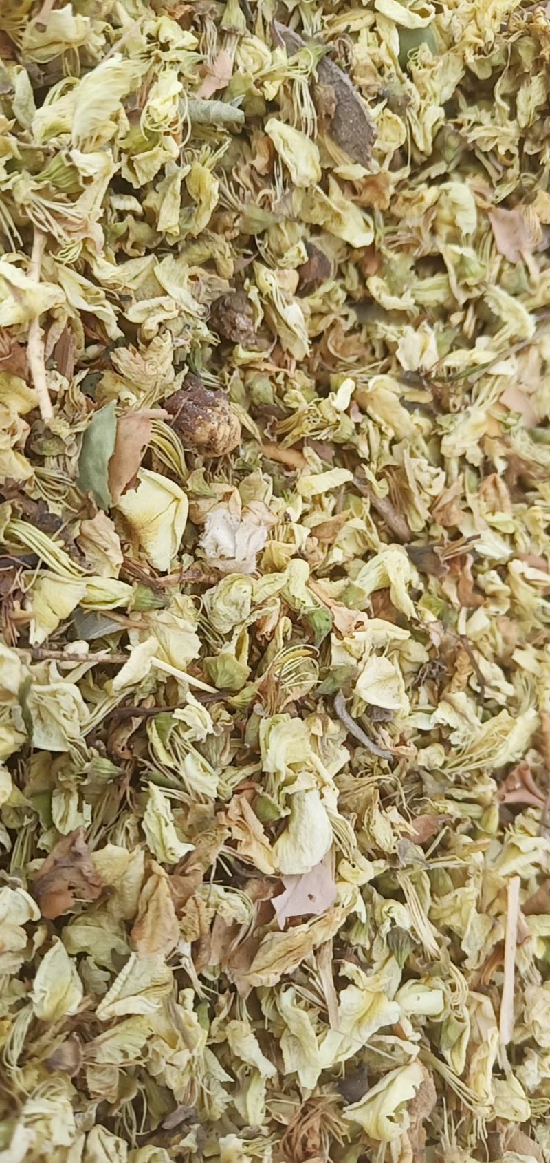 芦根产地甘肃酒泉现货35吨出售