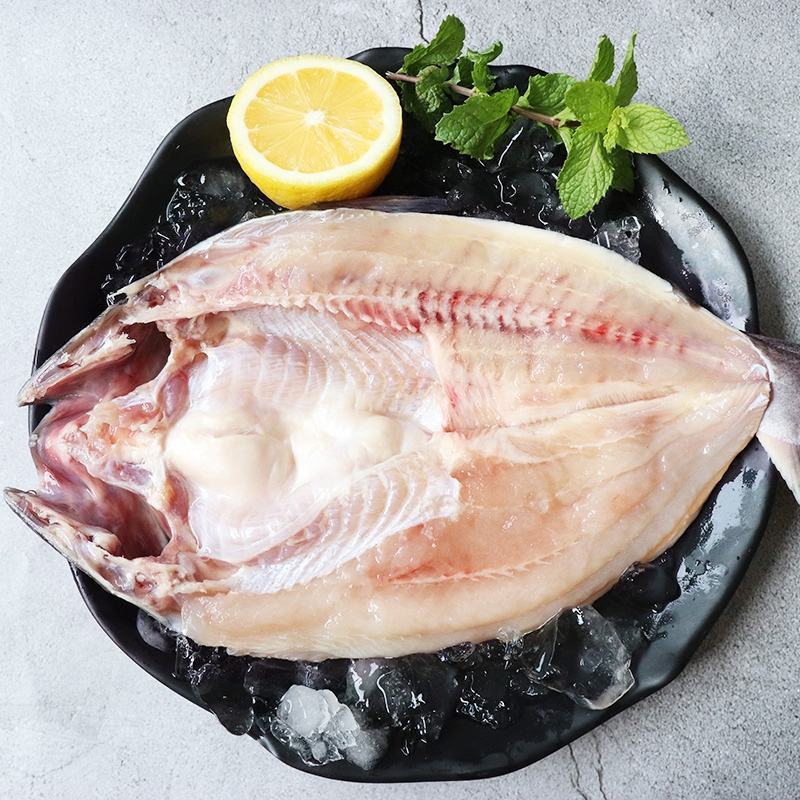 开背巴沙鱼冷冻湄公鱼肉嫩新鲜北海发货顺丰包邮5条装