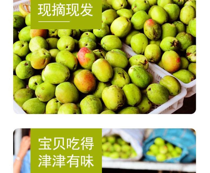 酸木瓜大货供应云南新鲜酸木瓜红花木瓜量大从优一手货