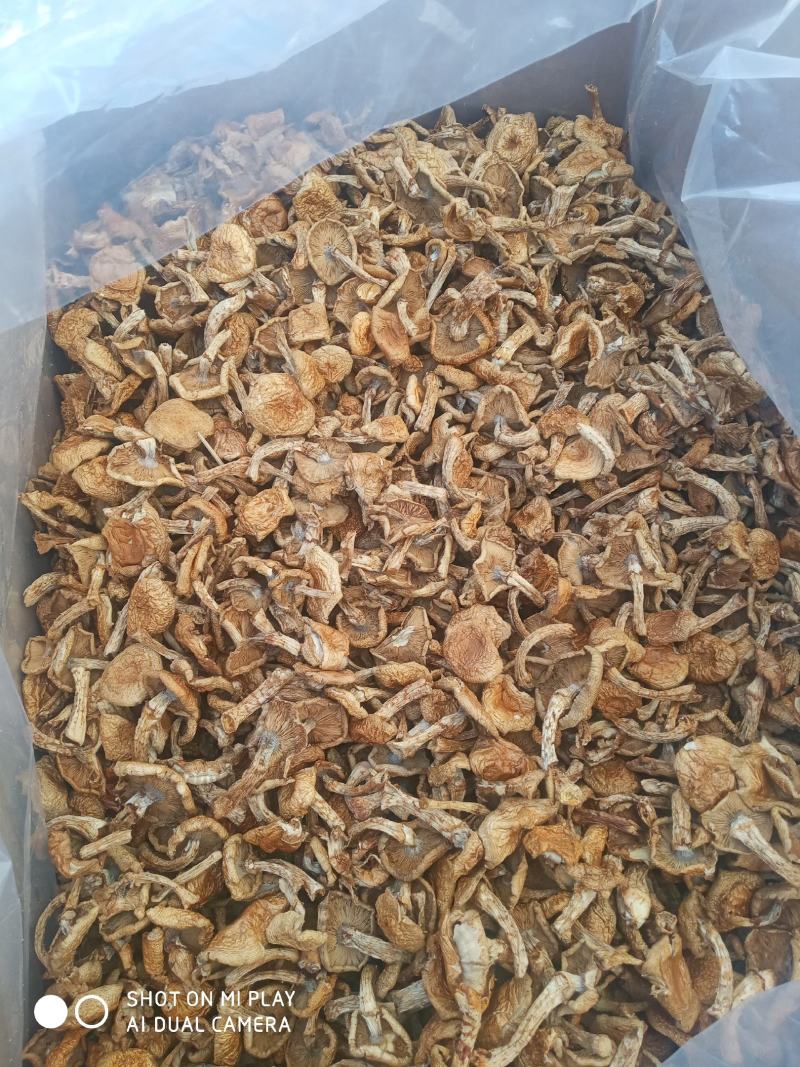 滑子菇，美味佳肴吃着顺口