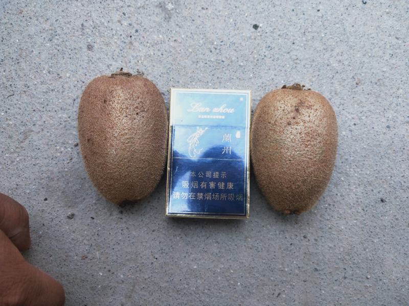 翠香猕猴桃产地直发价格有优势欢迎新朋友老客户前来选购