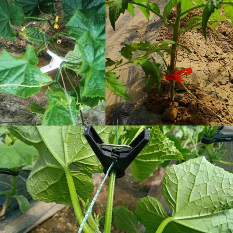 大棚蔬菜专用吊蔓夹西红柿黄瓜夹子吊秧夹绑蔓落蔓夹落秧塑料