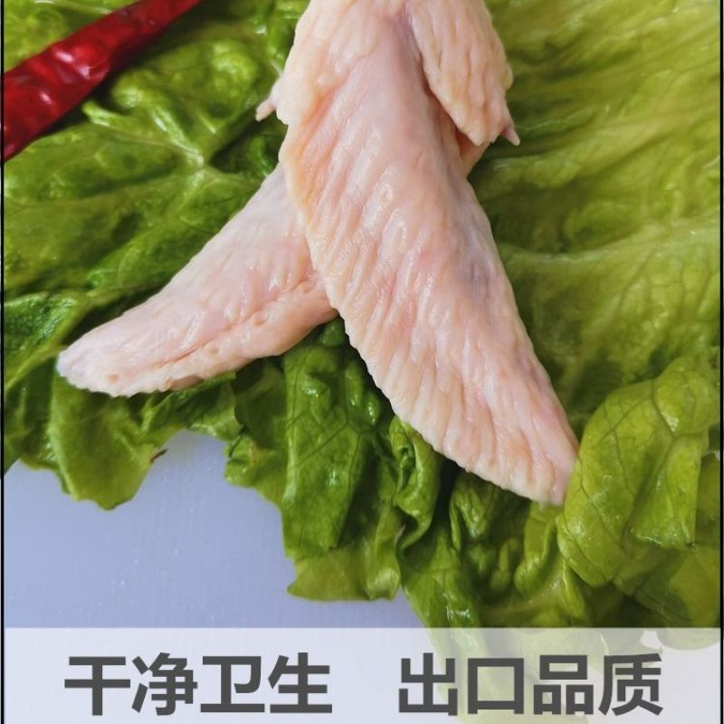 六和新鲜鸡翅尖20斤鲜冻鸡翅尖生鸡翅冷冻鸡翅膀翅尖火锅烧