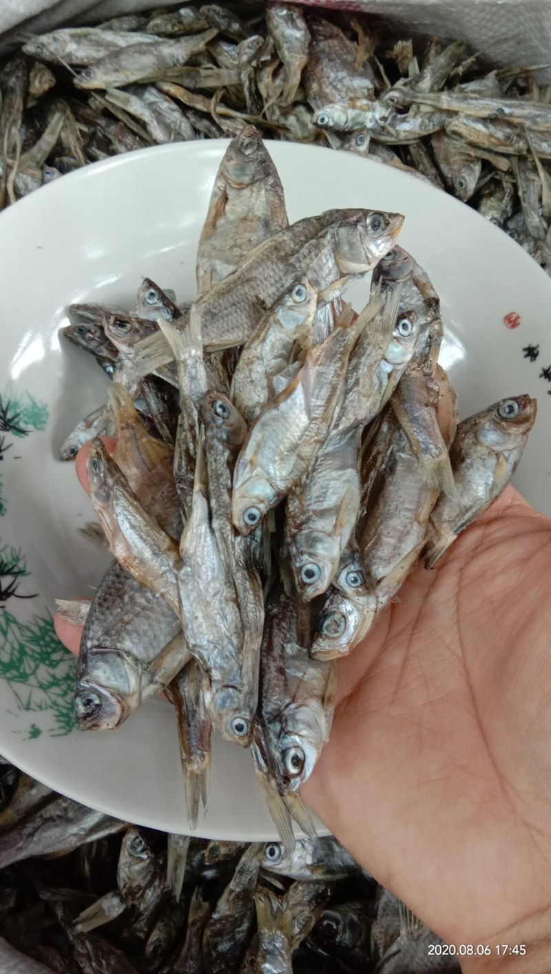 猫粮小鱼干宠物粮小鱼干水产干货淡水无盐5公分左右一条