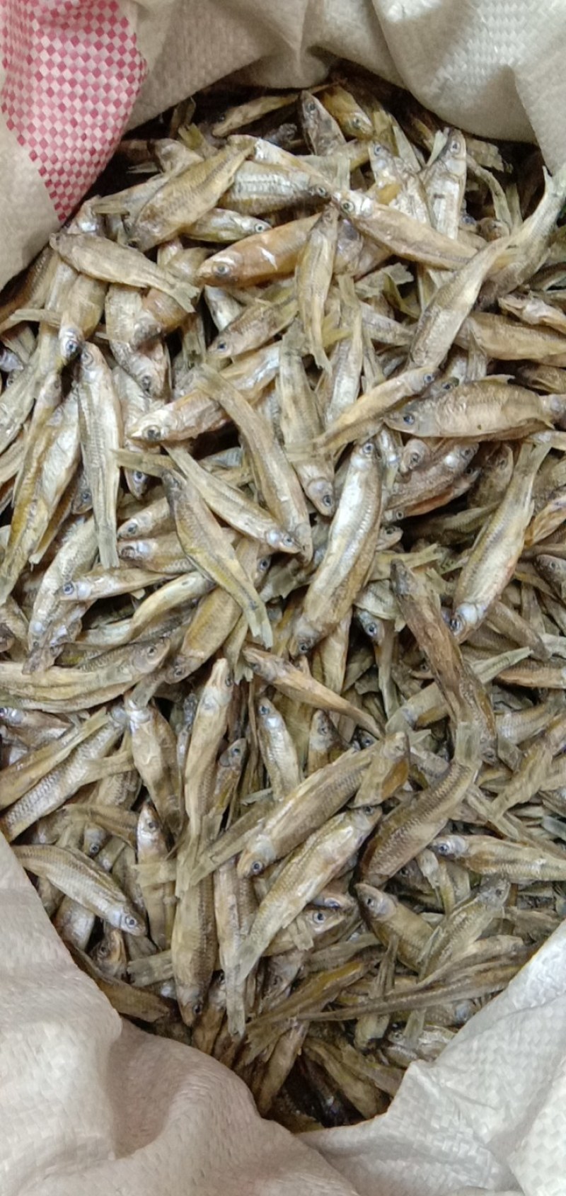 猫粮小鱼干宠物粮小鱼干水产干货淡水无盐5公分左右一条
