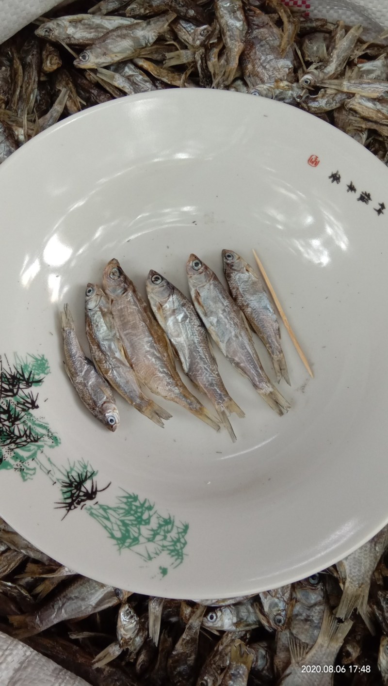 猫粮小鱼干宠物粮小鱼干水产干货淡水无盐5公分左右一条