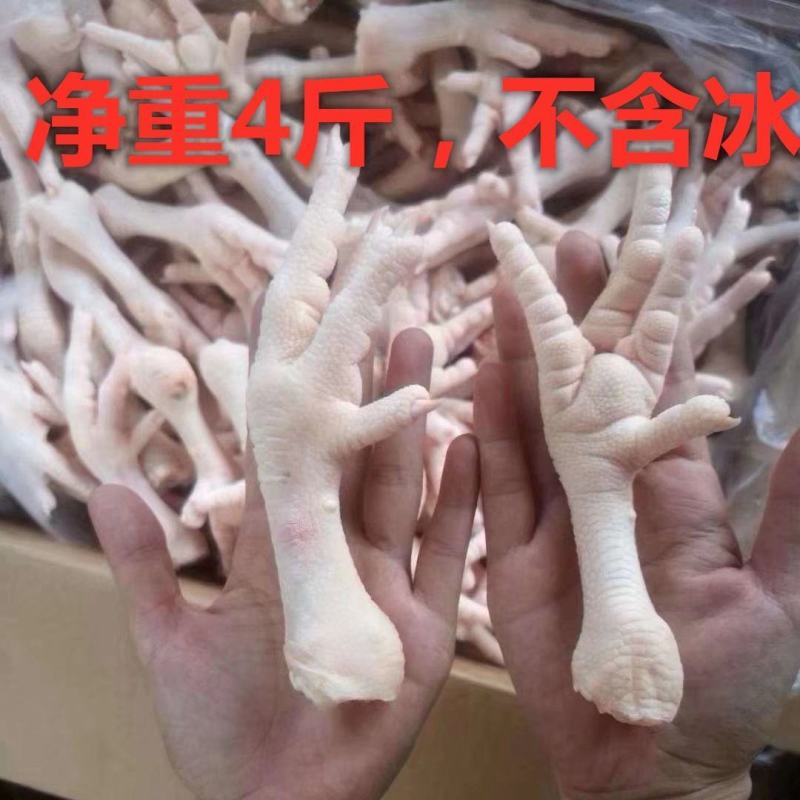 生鲜鸡爪4斤约38个冷冻新鲜长鸡爪大鸡爪批发泡椒