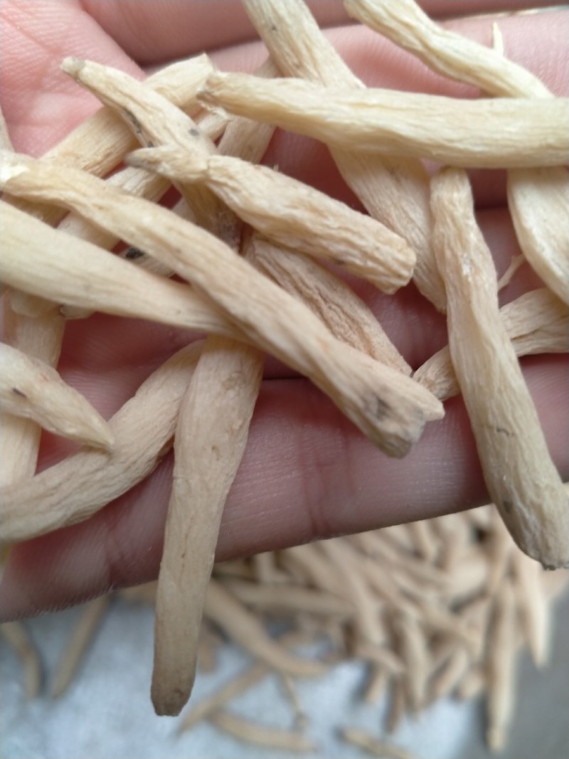 麦冬！大货批发，规格齐全，价格优，整件包邮！
