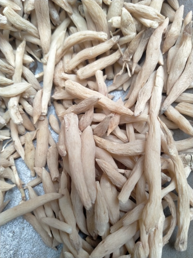 麦冬！大货批发，规格齐全，价格优，整件包邮！