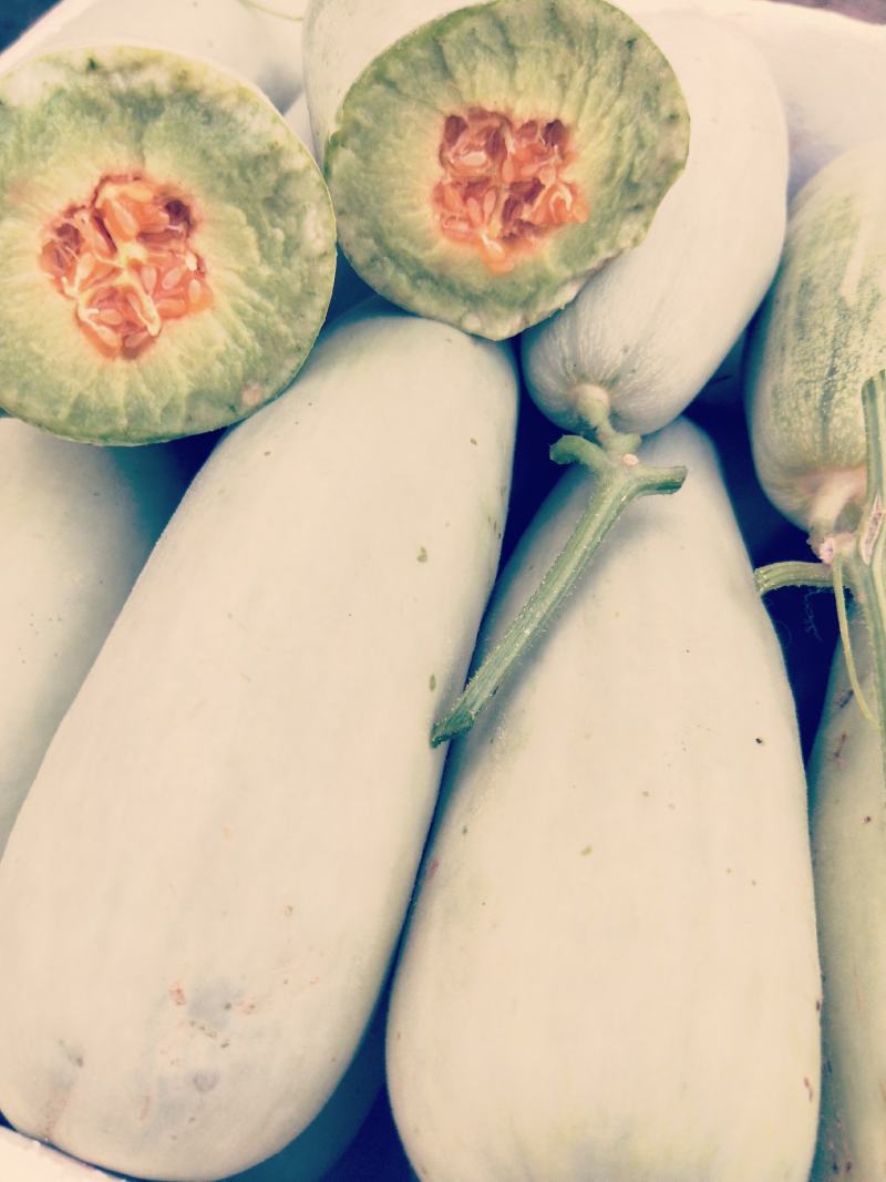 羊角蜜甜瓜/红瓤绿肉个头匀色泽好/电商一件代发/超市专供