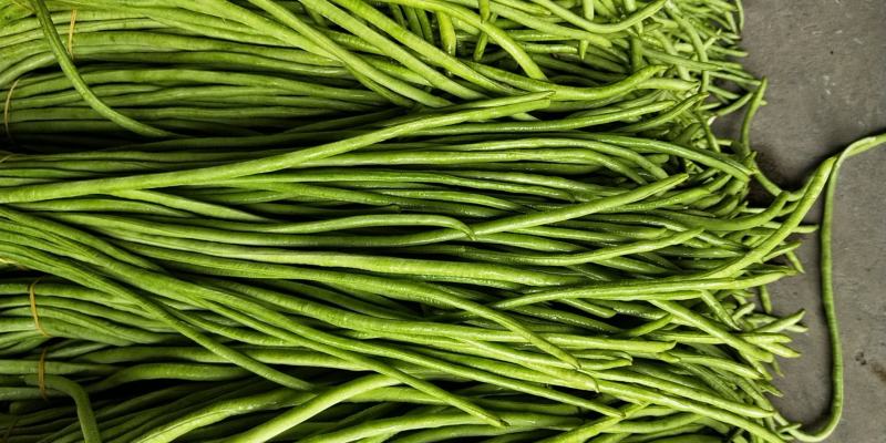 云南、长豆角70厘米以上、大量上市、泡豆角大量上市