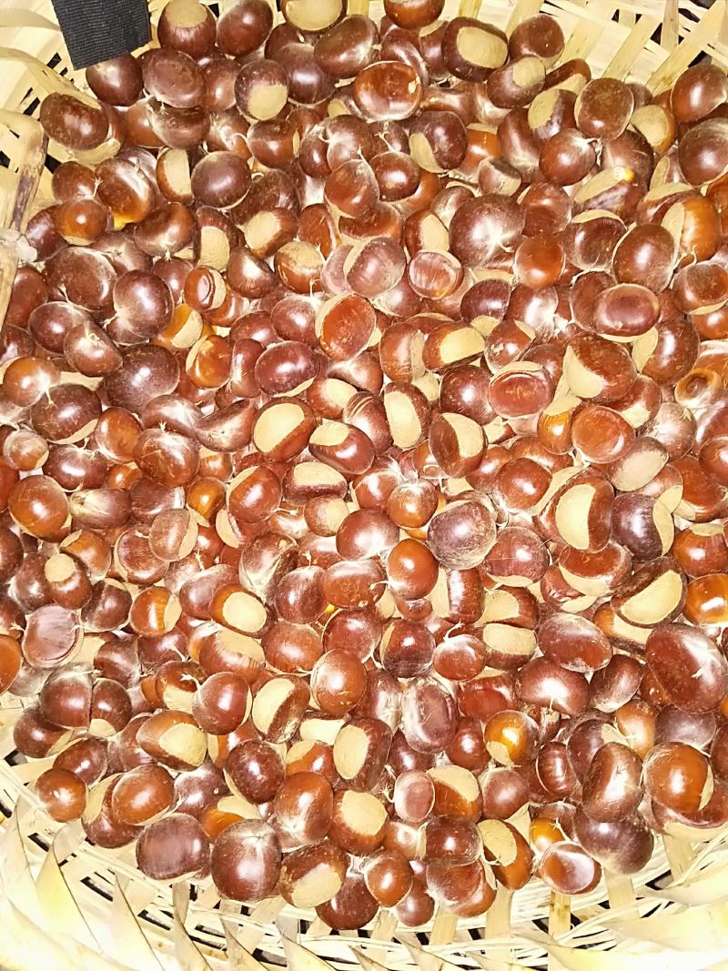 2020新鲜板栗，个头均匀
