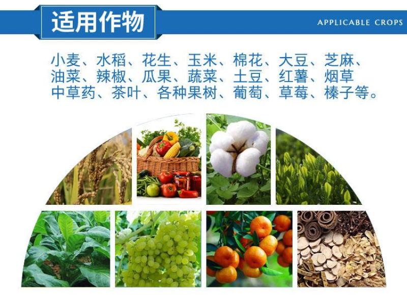 粉白状元井冈酮白粉病豆角豇豆锈病杀菌剂