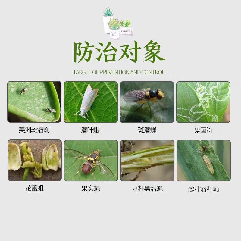 阿维灭蝇胺美洲斑潜杀虫剂地图虫潜叶蛾鬼画符专用杀虫剂