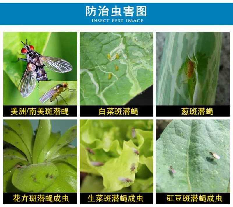 阿维灭蝇胺美洲斑潜杀虫剂地图虫潜叶蛾鬼画符专用杀虫剂