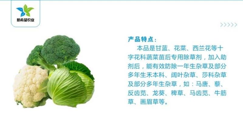 甘蓝花菜包菜苗后除草剂花椰菜绿甘蓝专用型苗后除草禾阔双除