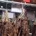 赣南牛肉干，牛肉干卤味厂家直销可发全国量大从优