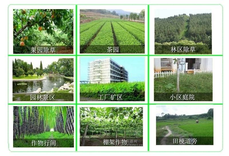 侨昌化学亿尔剑20%草铵膦草铵磷草安磷除草剂正品新货