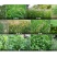 侨昌化学亿尔剑20%草铵膦草铵磷草安磷除草剂正品新货