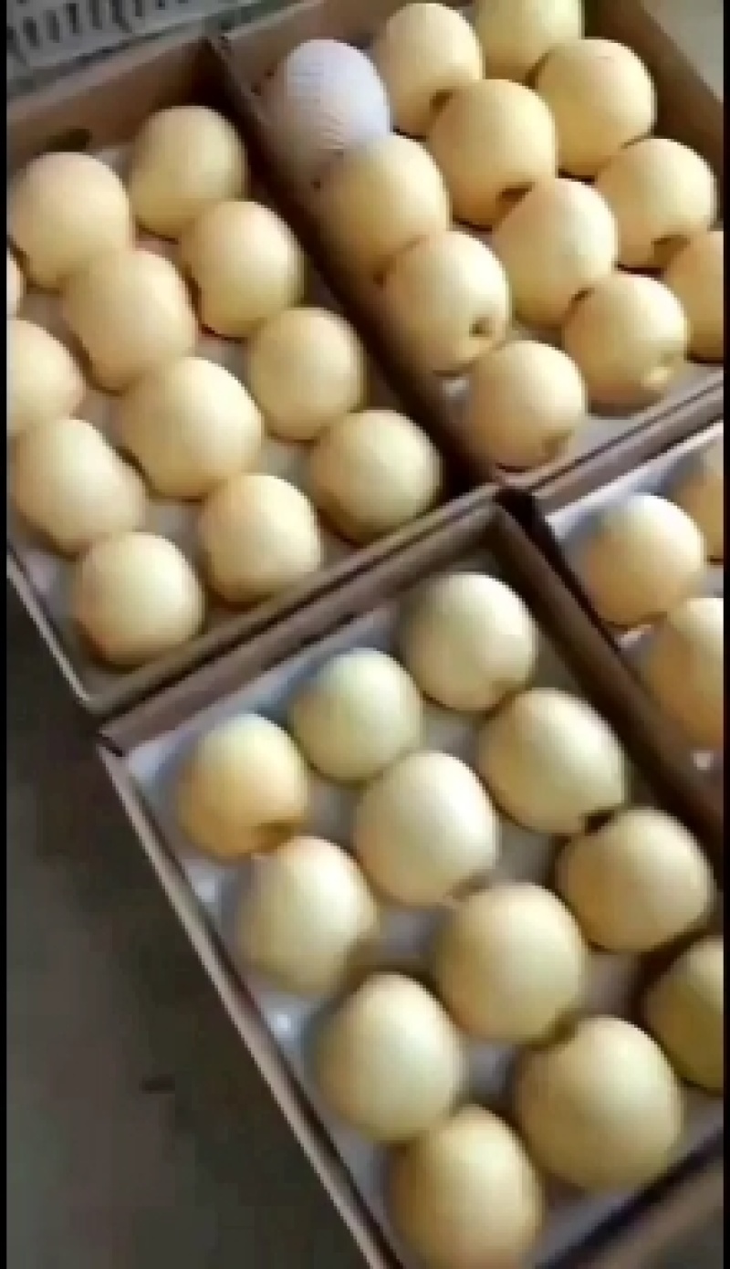 黄金梨大量出，自家种植量大糖度13以上博望坡黄金梨