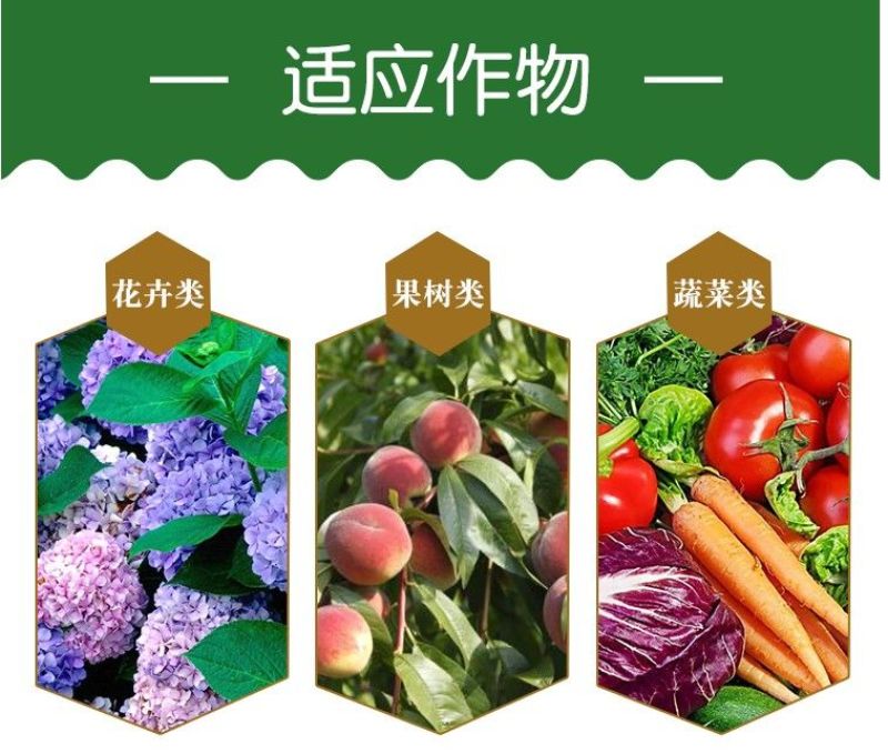海纳代森锌蓝粉80%补锌纯蓝色炭疽病叶斑病早疫病杀菌剂