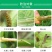 乐无虫10%阿维.甲氧虫酰肼水稻果树蔬菜吊丝虫夜蛾杀虫剂