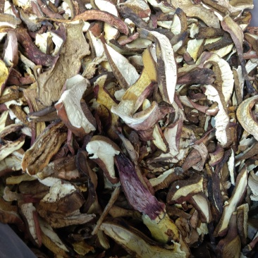 云南丽江牛肝菌片批发一级