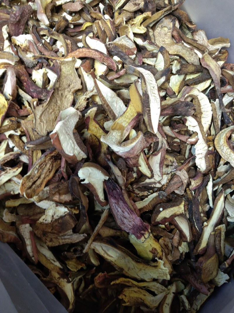云南丽江牛肝菌片批发一级