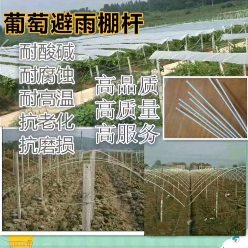 小拱棚支架蔬菜支撑杆厂家直销蔬菜工棚杆支撑