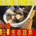 5到8年外塘老甲鱼，正宗甲鱼，中华甲鱼、自家农场直接发货