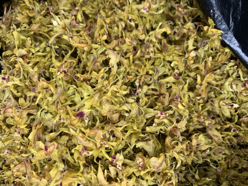 铁皮石斛花，自产自销、产地直发