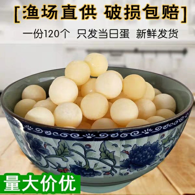 甲鱼蛋最后一个月了，错过了就要再等一年。