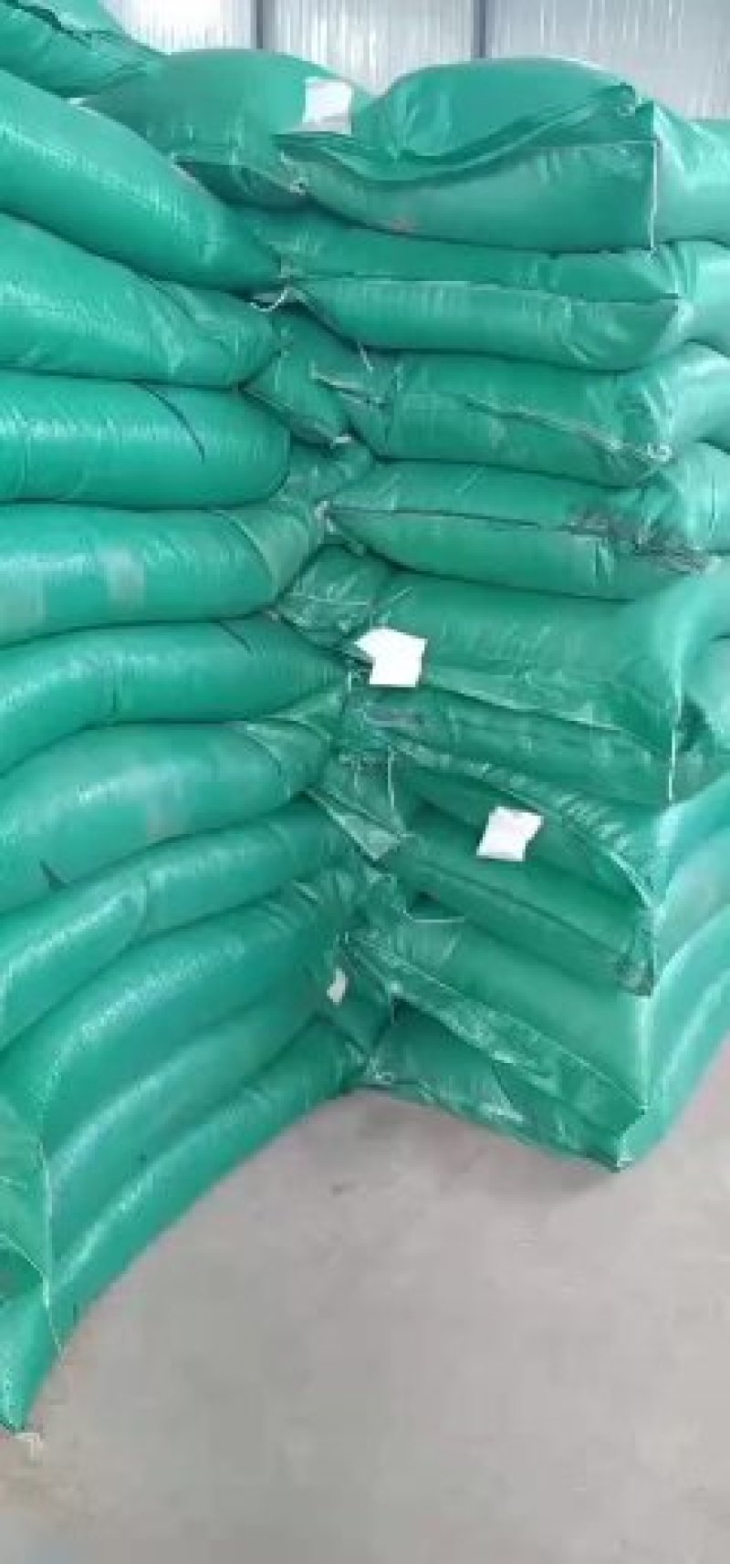 红三叶种子大量供应薄利多销草坪公园环境优化种子