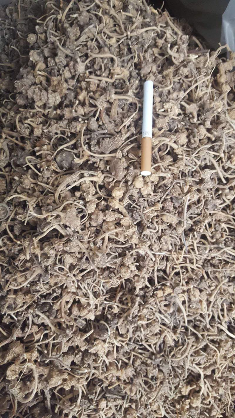 珠子参，又名扣子七地道药材