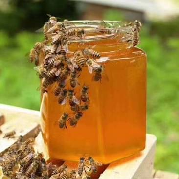 蜂蜜百花蜂蜜土蜂蜜农家自产纯正批发零售。支持一件代发。