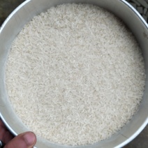 新大米销售中，优质大米