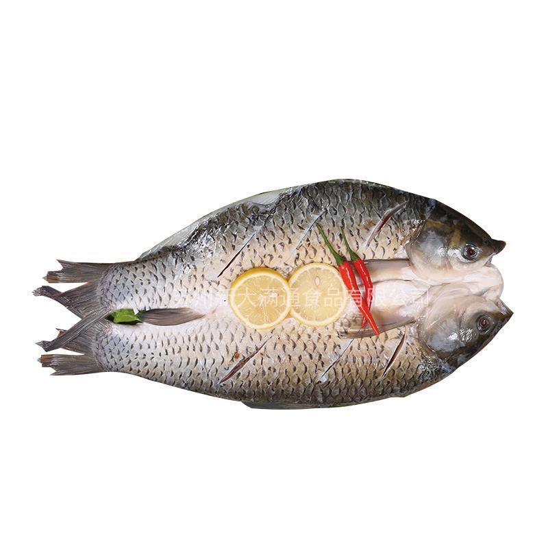 开背腌制草鱼2斤左右一箱20条装烤鱼专用鲈鱼湄公鱼冷冻新