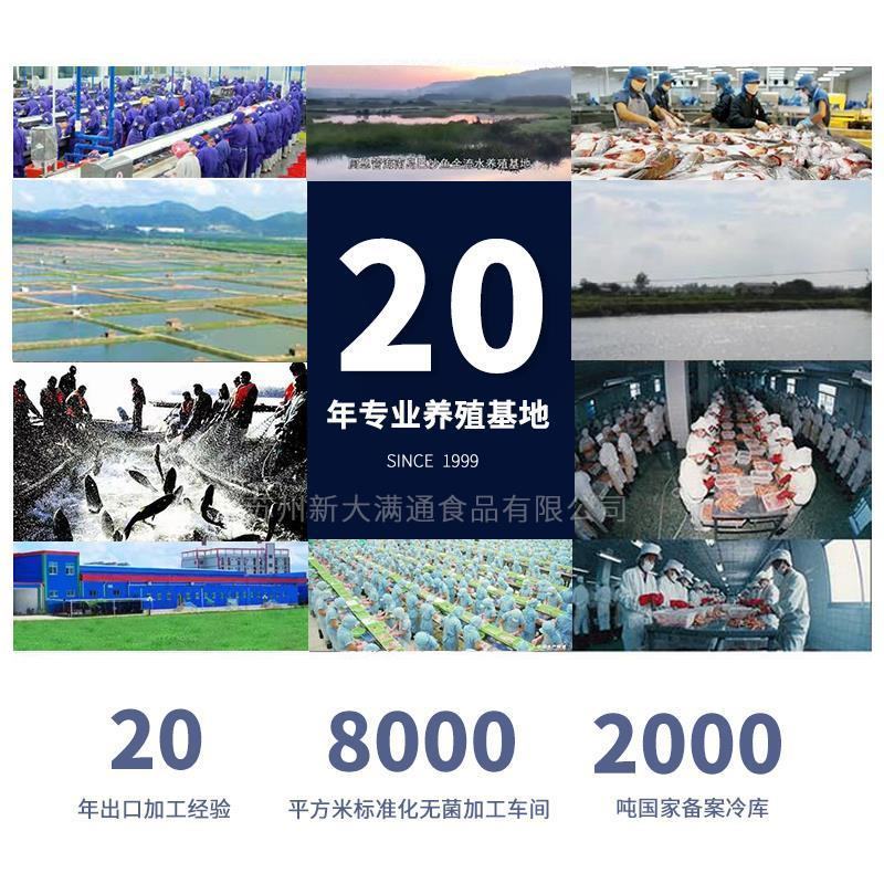 开背腌制草鱼2斤左右一箱20条装烤鱼专用鲈鱼湄公鱼冷冻新