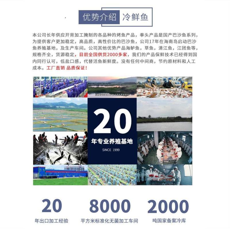 开背腌制草鱼2斤左右一箱20条装烤鱼专用鲈鱼湄公鱼冷冻新