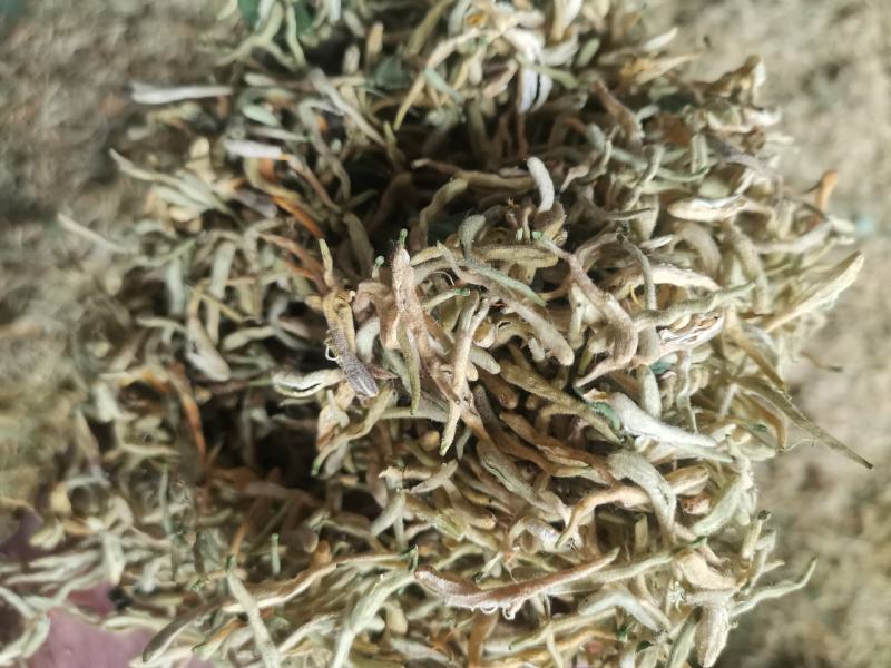 精选金银花北花，四季花新货二花无杂质