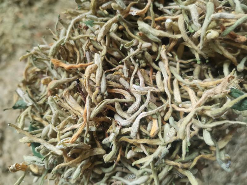 精选金银花北花，四季花新货二花无杂质