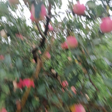 嘎啦开始收购啦需要的话请过来吧