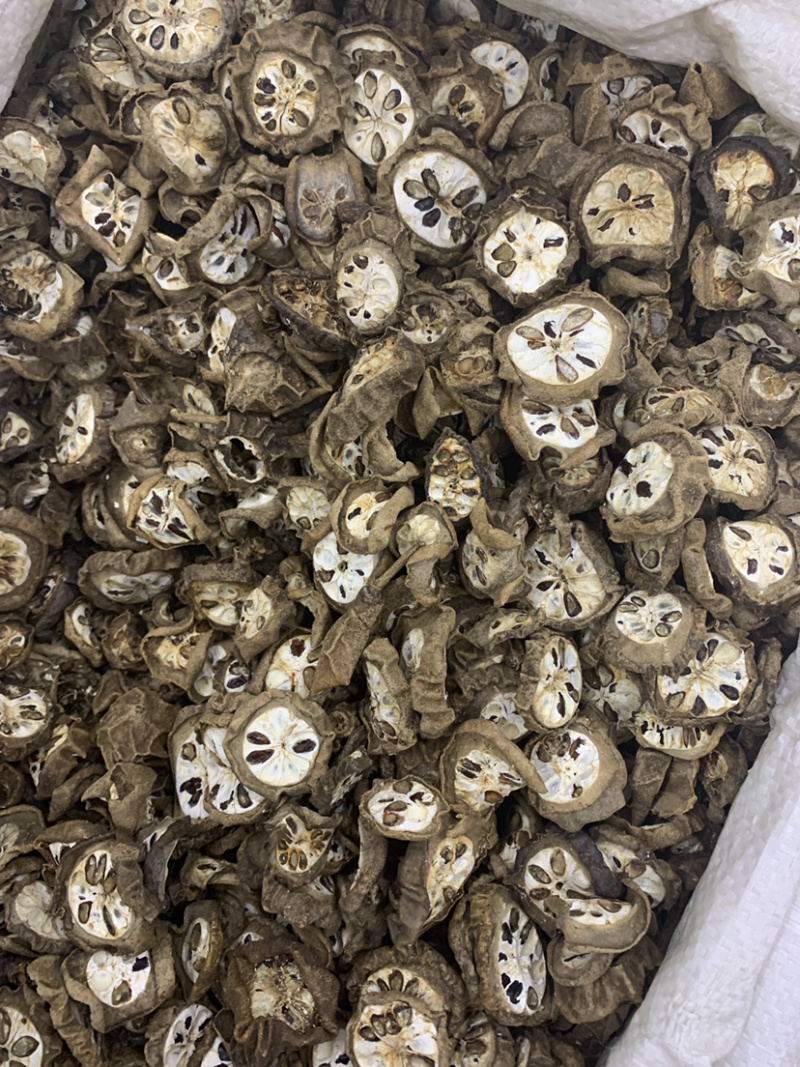 八月扎预知子无硫磺熏蒸一公斤起批