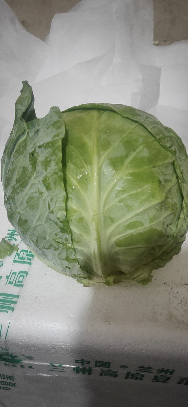 中甘甘蓝，可精包，可散装