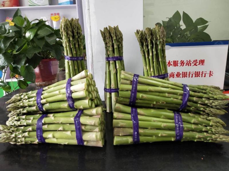 新鲜芦笋自家种基地每天现摘秋芦笋预定中，欢迎各位老
